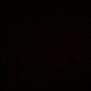 Meet your Posher, Sophia